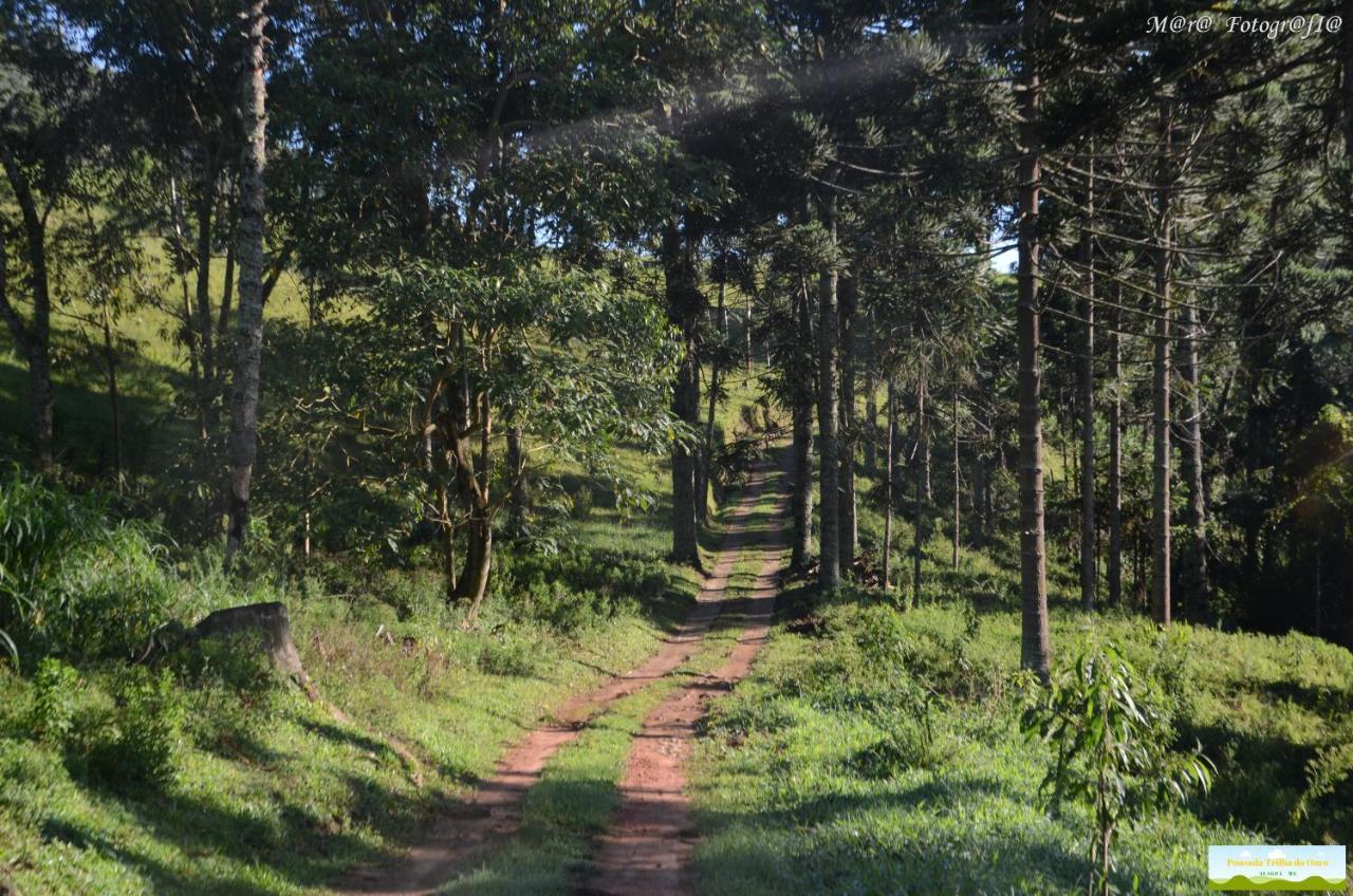Pousada Trilha Do Ouro Alagoa Mg المظهر الخارجي الصورة